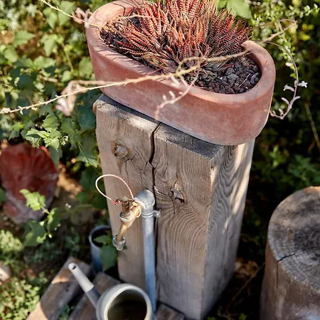 Sunset No 23 Second Unit Colorful And Cozy